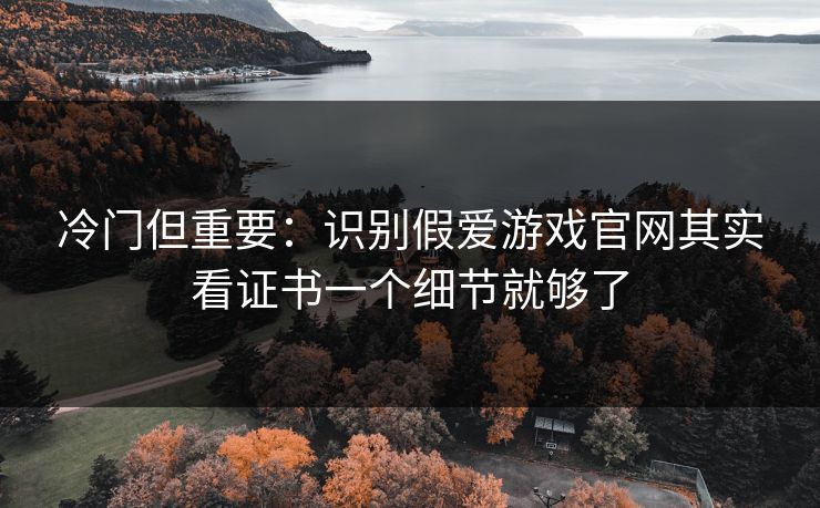 冷门但重要：识别假爱游戏官网其实看证书一个细节就够了