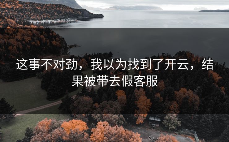 这事不对劲，我以为找到了开云，结果被带去假客服